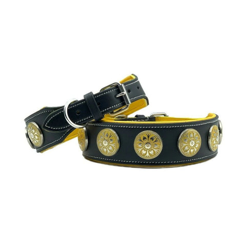 Padded Leather Studded Dog Collar – 2-Inch Strong Collar for Staffies & Large Dogs