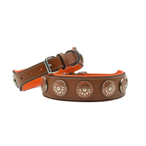 Padded Leather Studded Dog Collar – 2-Inch Strong Collar for Staffies & Large Dogs
