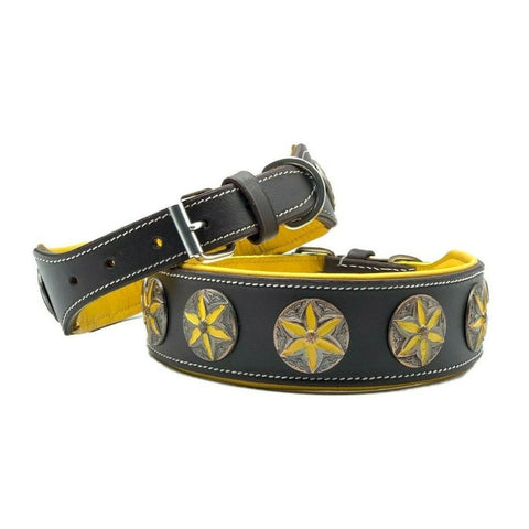 Padded Leather Studded Dog Collar – 2-Inch Strong Collar for Staffies & Large Dogs