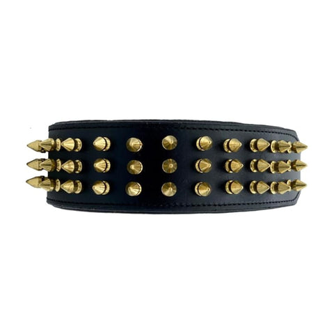 Leather Dog Collar with Gold Spike Studs for Big Dogs