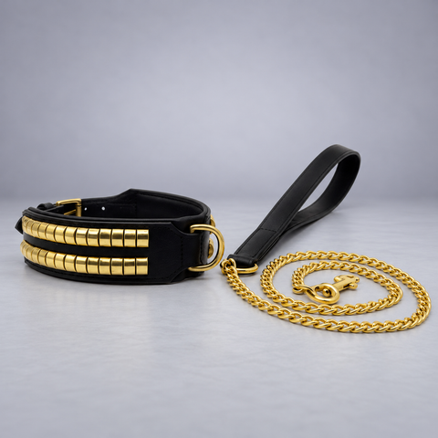 Leather Dog Collar & Chain Lead Set – Studded & Comfortable