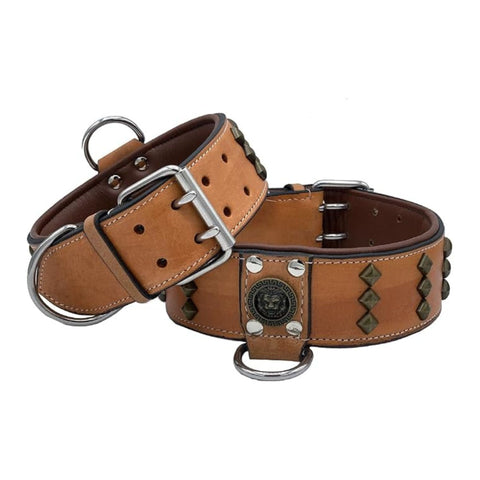 Wide Studded Leather Dog Collar with Lion Soft Padding