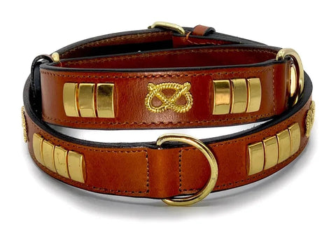 Leather Dog Collar – 1.5" Brass Studded Collar for Staffies