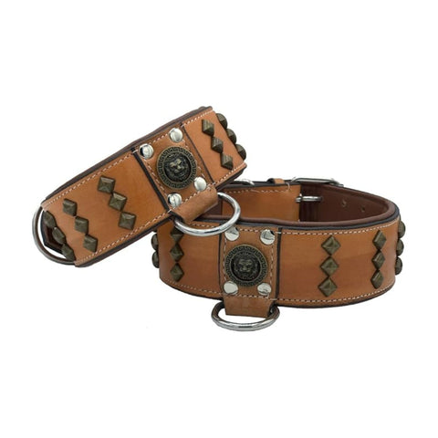 Wide Studded Leather Dog Collar with Lion Soft Padding