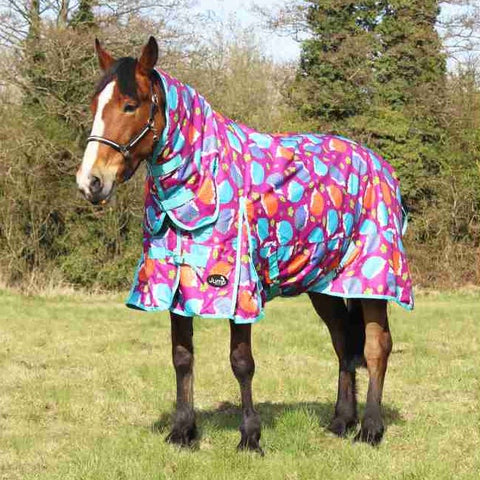 100g Horse Hedgehog Turnout Rug with Detachable Neck – 600D Waterproof