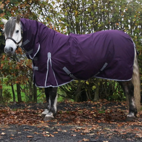 No Fill 0g Horse Turnout Rug – Lightweight 600D Combo Neck