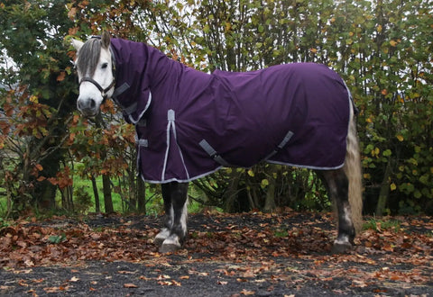 Lightweight  No Fill 0 g FIll Horse Turnout Rug – Lightweight 600D Combo Neck