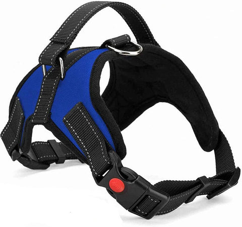 Blue No Pull Dog Harness – Adjustable Anti Pull Harness for All Dogs