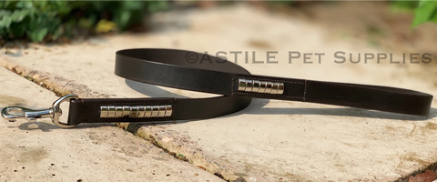Brown Studded Leather Dog Collar & Lead – Padded Set for Comfort