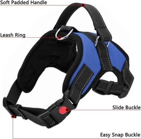 Blue No Pull Dog Harness – Adjustable Anti Pull Harness for All Dogs