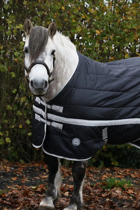 200g Stable Rug – Medium Weight Horse Stable Rug with Standard Neck