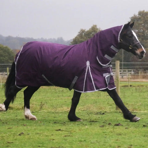No Fill 0g Horse Turnout Rug – Lightweight 600D Combo Neck