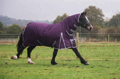 Lightweight  No Fill 0 g FIll Horse Turnout Rug – Lightweight 600D Combo Neck