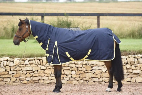 Winter Turnout Rug 600D – 200g Full Neck Waterproof Combo