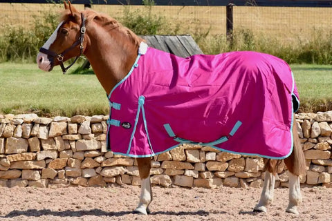 No Fill Lightweight Turnout Rug – Waterproof Standard Horse Rug