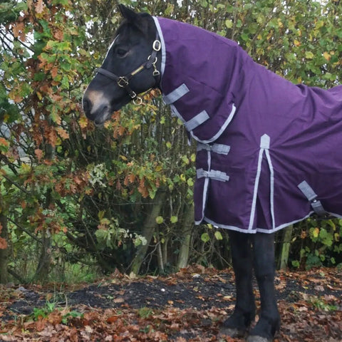 No Fill 0g Horse Turnout Rug – Lightweight 600D Combo Neck