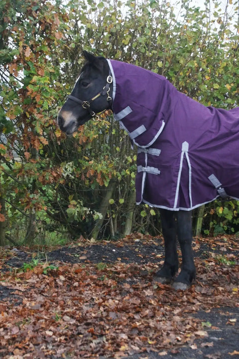 Lightweight  No Fill 0 g FIll Horse Turnout Rug – Lightweight 600D Combo Neck