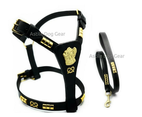 Leather Staffordshire Staffy Bull Terrier Harness Lead Set Black Gold Chain Lead