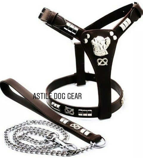 Leather Staffordshire Staffy Bull Terrier Harness Lead Set Brown Silver Chain Lead