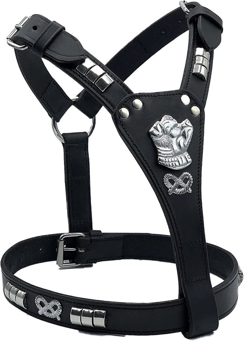 Leather Staffordshire Staffy Bull Terrier Harness Lead Set Black Silver Chain Lead