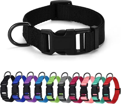 DOG COLLAR NYLON BASIC DOG COLLAR WITH BUCKLE FOR XS S M L AND XL DOG AND CAT