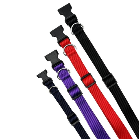 DOG COLLAR NYLON BASIC DOG COLLAR WITH BUCKLE FOR XS S M L AND XL DOG AND CAT