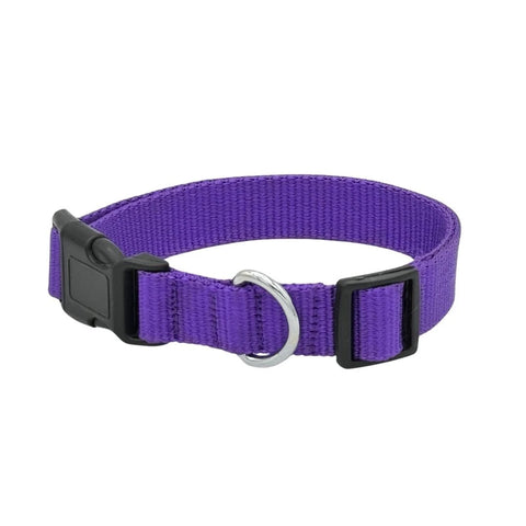 DOG COLLAR NYLON BASIC DOG COLLAR WITH BUCKLE FOR XS S M L AND XL DOG AND CAT