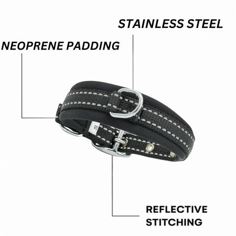 Dog Collar for All Breeds, Soft Padded Collar, Sturdy, Adjustable Whippet Staffy