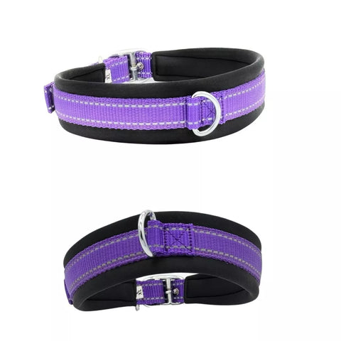Purple Dog Collar for All Breeds, Soft Padded Collar, Sturdy, Adjustable Whippet Staffy