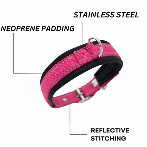 Pink Dog Collar for All Breeds, Soft Padded Collar, Sturdy, Adjustable Whippet Staffy