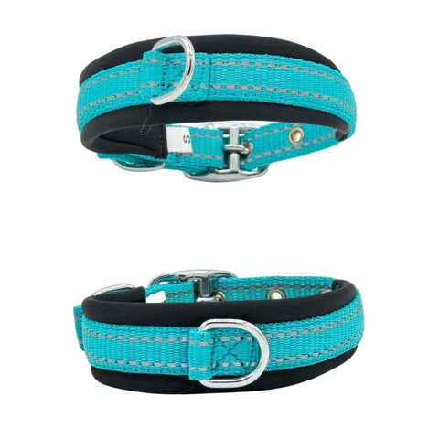 Turquoise Dog Collar for All Breeds, Soft Padded Collar, Sturdy, Adjustable Whippet Staffy