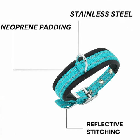 Turquoise Dog Collar for All Breeds, Soft Padded Collar, Sturdy, Adjustable Whippet Staffy