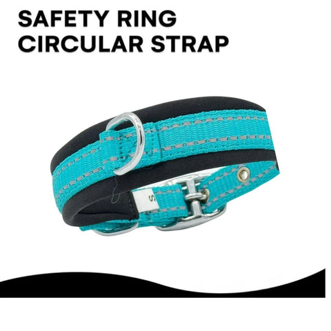 Turquoise Dog Collar for All Breeds, Soft Padded Collar, Sturdy, Adjustable Whippet Staffy