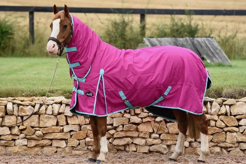 Lightweight  No Fill 0 g FIll Horse Turnout Rug – Lightweight 600D Combo Neck