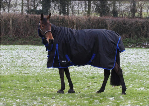 350g Full Neck Turnout Rug – Waterproof 600D Winter Rug (Black)