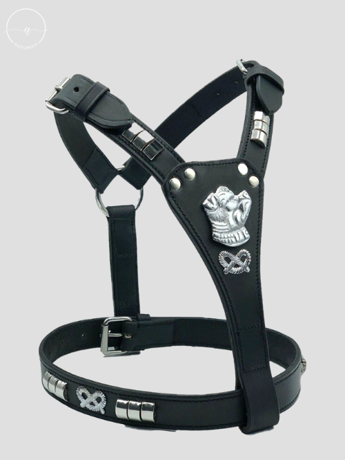 Staffordshire bull terrier sales harness